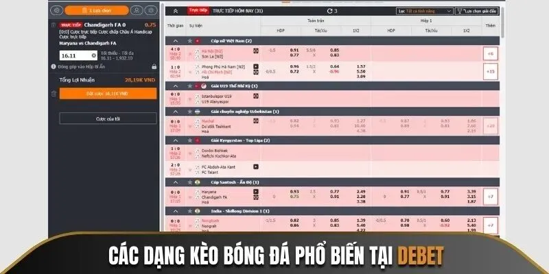 Các loại cược phổ biến trong Debet