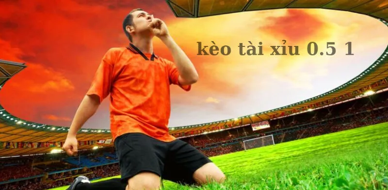 Có thể cược kèo tài xỉu 0.5 1 cho các môn thể thao khác không?