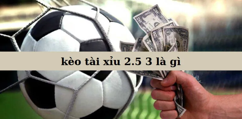 Kèo Tài Xỉu 2.5 3 Là Gì?