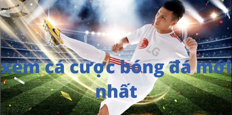 Tại Sao Cần Phải Xem Kèo Cá Cược Bóng Đá?