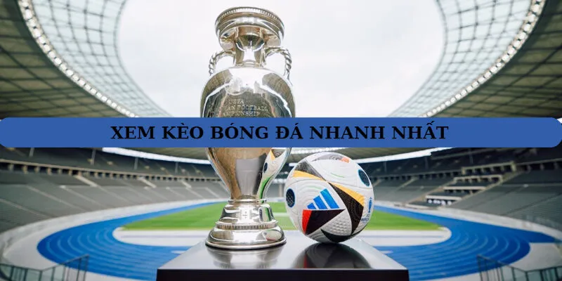 Tìm hiểu về cá cược bóng đá